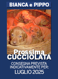 LUGLIO 2025